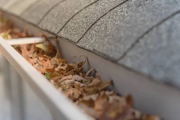 GUTTER CLEANING (941) 822 3896