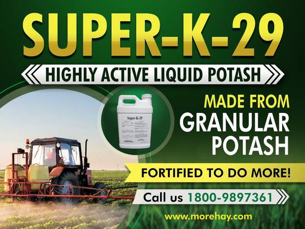 Advanced Hay N Pasture Fertilizer! Fesue- Orchard -Alfalfa- Bermuda!