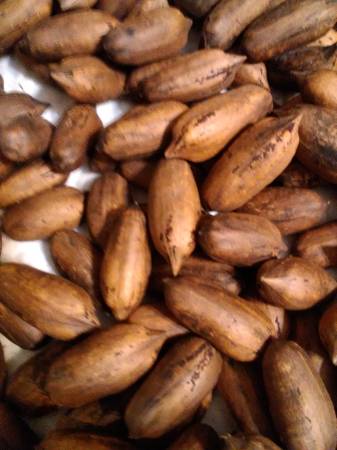 Pecans