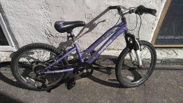 MONGOOSE Kid’s Bike 20″ wheels