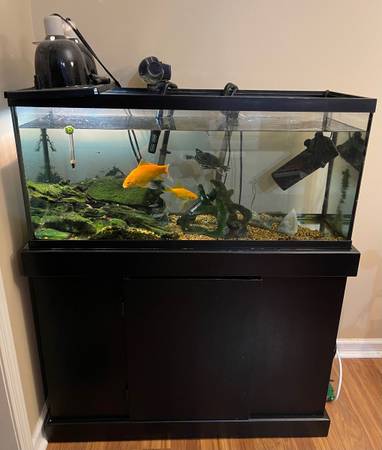 30 Gallon Turtle Tank with Everything