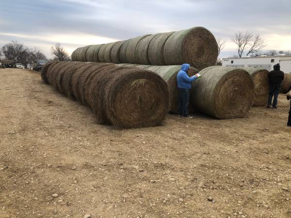 Hay Auction Saturday