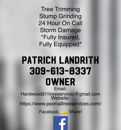 Need Tree Service done?