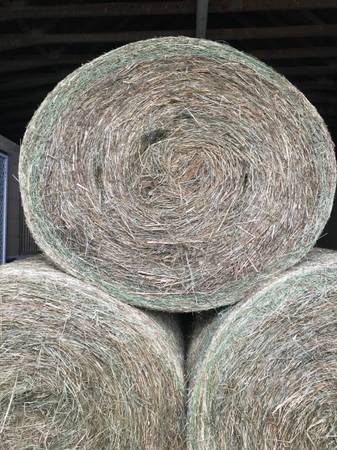 Large Hay Rolls for sale