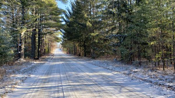 Pembine Area Five Wooded Acres Camp or Build