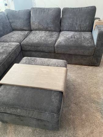 LOVESAC SECTIONAL COUCH