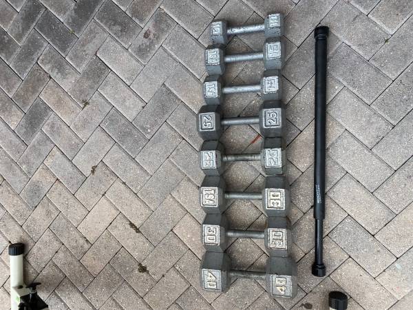 Cast iron dumbbells with workout bench and pullup bar