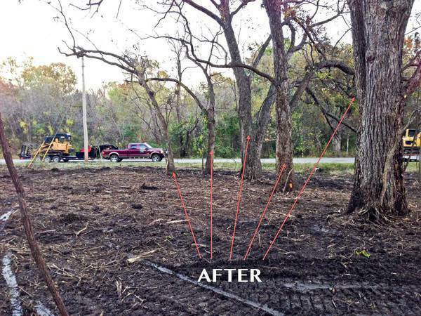 Land Clearing – Tree Trimming