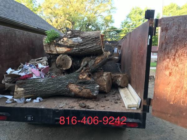 CHEAP JUNK, TRASH & BRUSH REMOVAL / HAULING