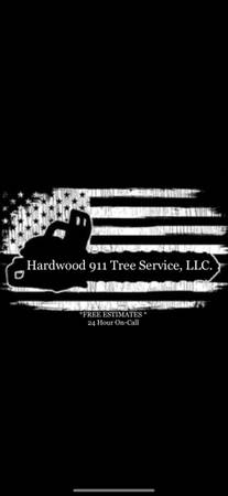 Need Tree Service done?