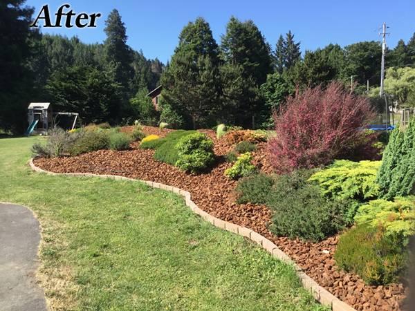 ????WEEDS BE GONE-Fine Landscape-Tree Care-Brush Clearing & More??