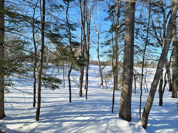 Lakefront Getaway near Rhinelander, WI