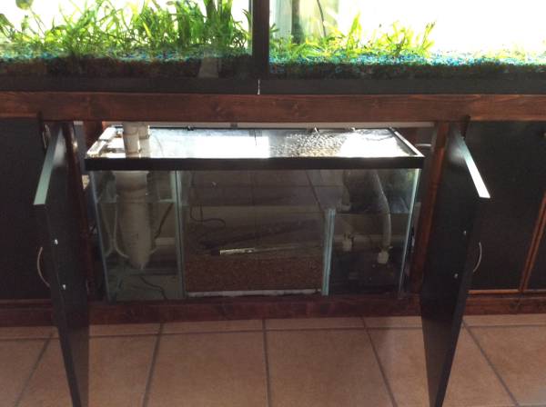 (2) 60 gallon aquarium