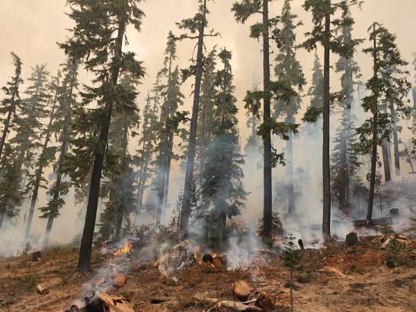 Wildland Firefighters, Get Ready for Summer Work