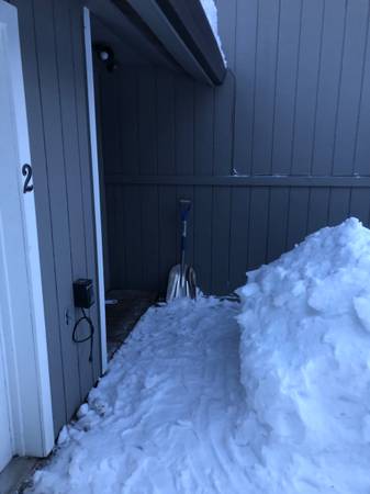 Roof snow removal