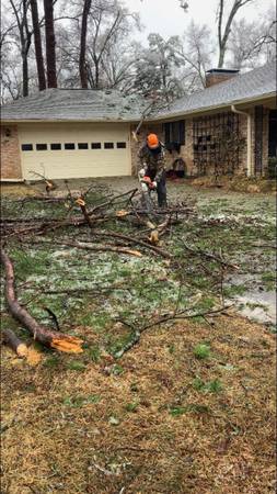 Storm Debris Removal