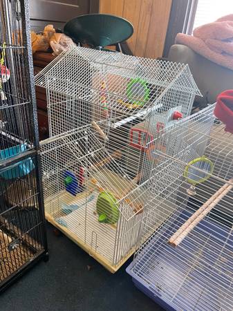 3 bird cages