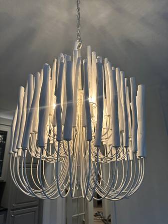 Anthropologie Light Fixture