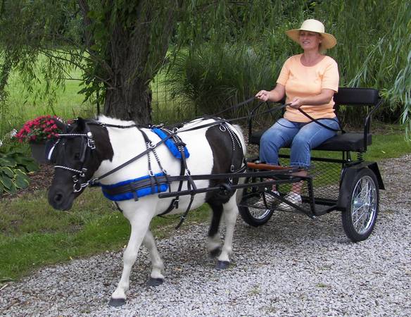 EASY ENTRY CARTS (MINI, PONY, COBB & HORSE)