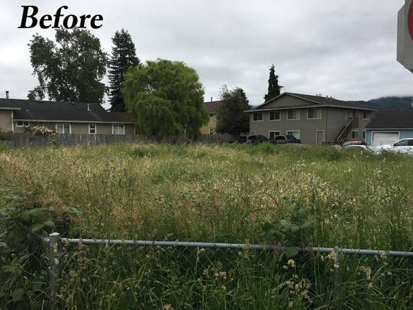 ????WEEDS BE GONE ~ MORE PICS ~ CREWS AVAILABLE