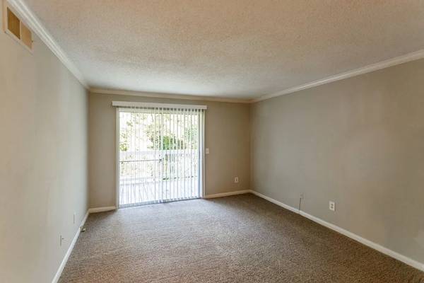 Stay warm in a cozy, spacious apartment! 3 bedroom, 2 bath!