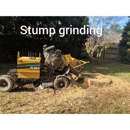 Fredericksburg STUMP GRINDING / REMOVAL No one beats our prices!