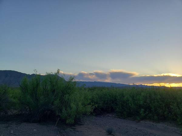 20 acres of land near Marfa, Texas