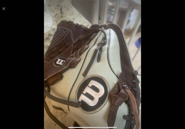 Wilson A950 Softball glove