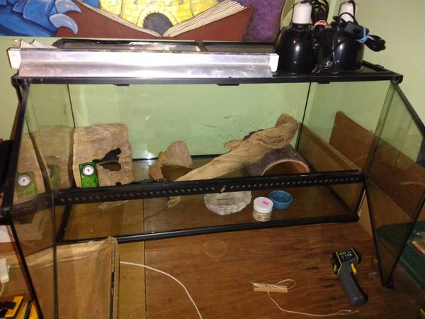 Reptile Set Up