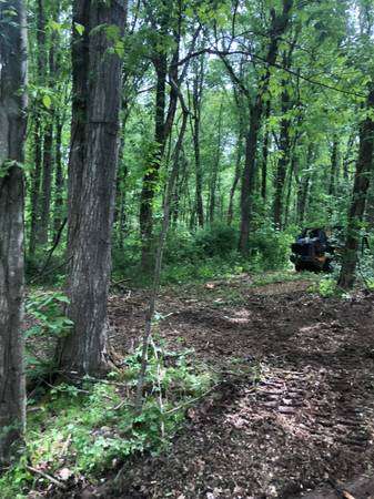 Forestry mulching / Brush hogging