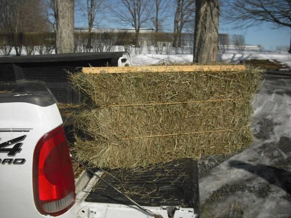 Hay for sale-Square bales