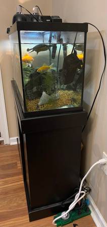 30 Gallon Turtle Tank with Everything