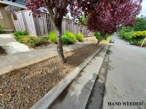 ????WEEDS BE GONE ~ MORE PICS ~ CREWS AVAILABLE