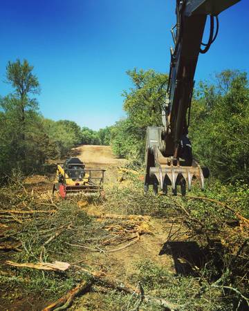 Land Clearing – Tree Trimming