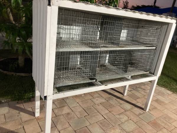 Pigeon cage