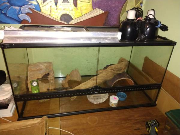 Reptile Set Up