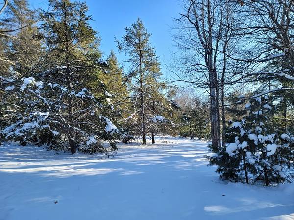 Lakefront Getaway near Rhinelander, WI