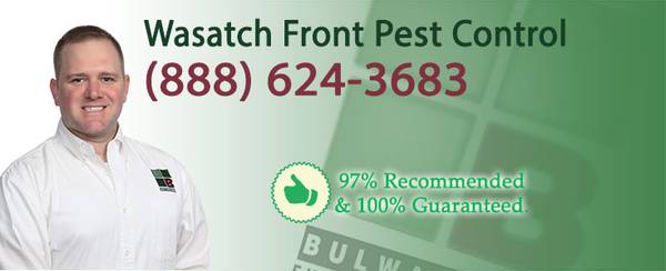 $79 Full Home Pest Control Treatment