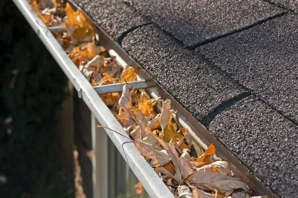 GUTTER CLEANING (941) 822 3896