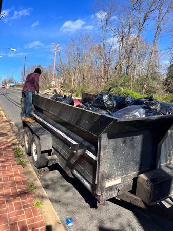 AFFORDABLE RELIABLE TREE REMOVAL/MULCHING TRIMMING