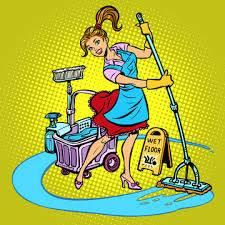 HOUSE CLEANER__CARPET CLEANING +REMOVAL__JUNK +HOARDER+FECES CLEAN OUT