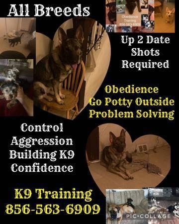 An All Breed K9 Obedience Potty Training And