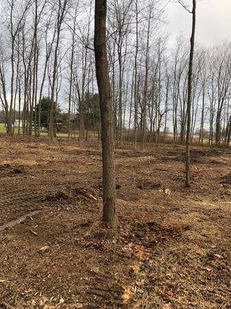 Forestry mulching / Brush hogging