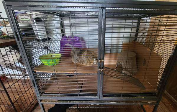 Pet Cage