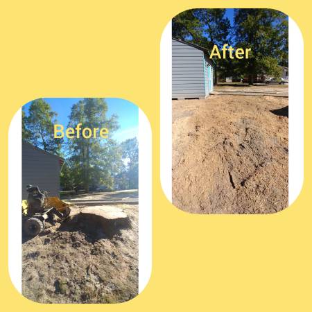 Fredericksburg STUMP GRINDING / REMOVAL No one beats our prices!