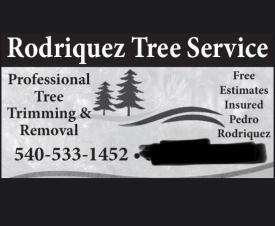 Rodriguez tree service