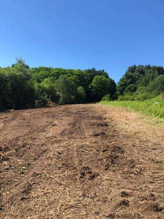 Forestry mulching / Brush hogging