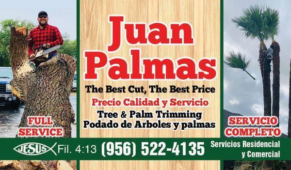 JUAN PALMAS ?? TRIMM ??PRUNING??STUMP??REMOVAL SERVICES??522-4135?