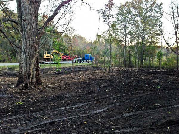 Land Clearing – Tree Trimming