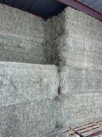 quality barn stored grass hay